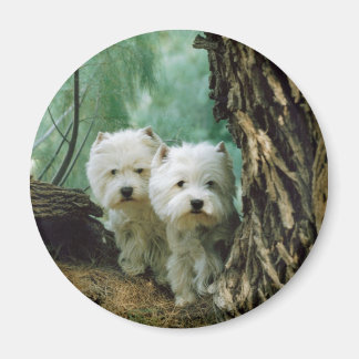 Zest und Donna (Mutter und Tochter nehmen 2) Magnet