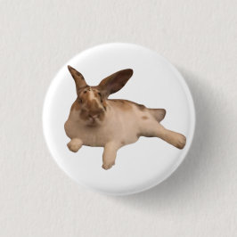 Zesty Paddy Abzeichen Button