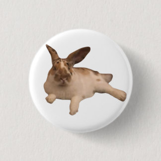 Zesty Paddy Abzeichen Button