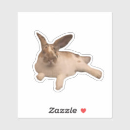 Zesty Paddy Sticker