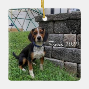 Zeus 2020 Weihnachtsschmuck