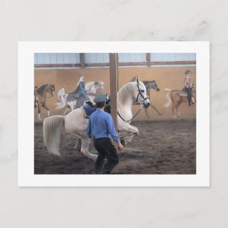 Zeus, Levade in den Säulen Postkarte