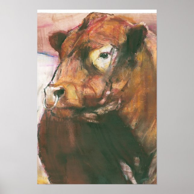 Zeus Red Belted Galloway Bull 2006 2 Poster (Vorne)