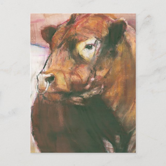 Zeus Red Belted Galloway Bull 2006 2 Postkarte (Vorderseite)