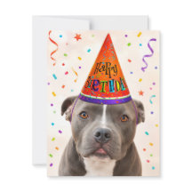 Zeus Rettungshund Happy Birthday Postkarte