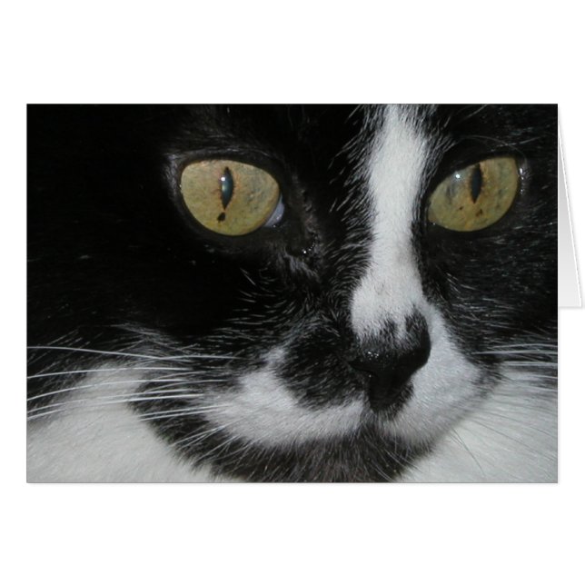 Zewa (Vorderseite (Horizontal))