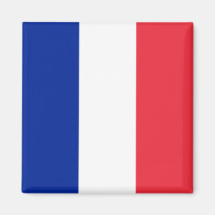 zFR001 FLAG Französisch, Frankreich, Kühlschrank Magnet