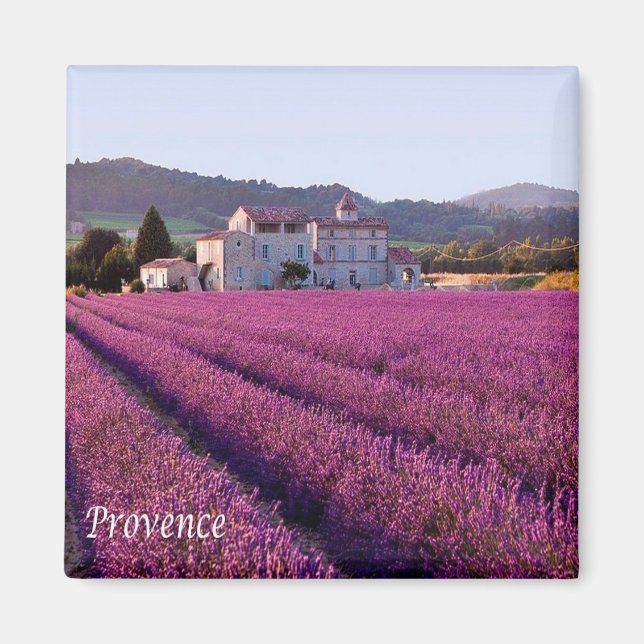 zFR149 PROVENCE, Frankreich, Kühlschrank Magnet (Vorne)