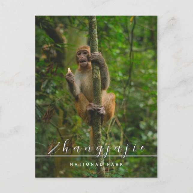Zhangjajie Nationalpark Postcard Postkarte (Vorderseite)