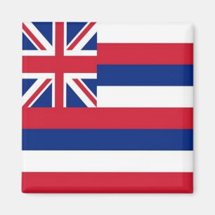 zHI001 HAWAII FLAG, Ozeanien, Kühlschrank Magnet