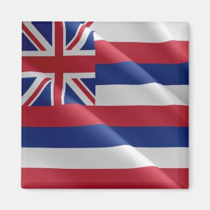 zHI002 HAWAII WAVING FLAG, Ozeanien, Kühlschrank Magnet