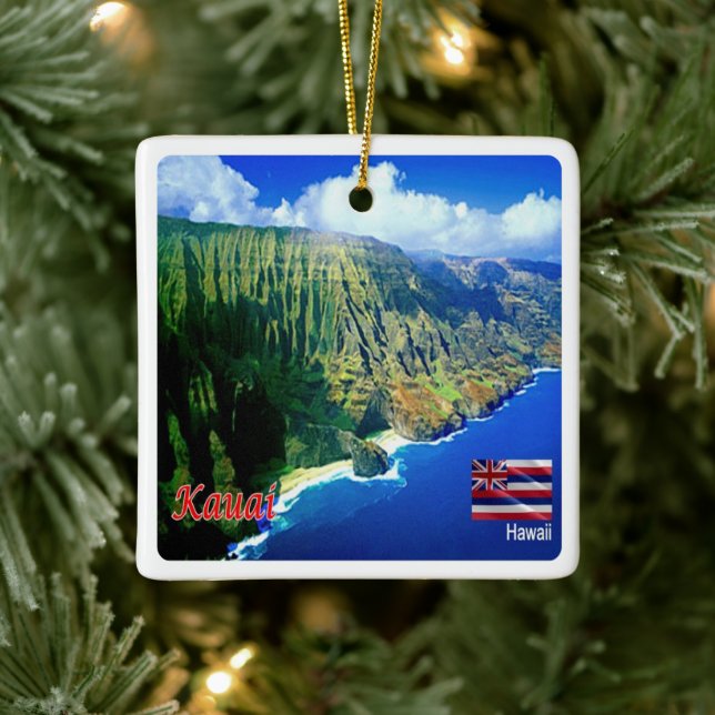 zHI006 KAUAI, HAWAII, Luftbild, Ozeanien, Keramikornament (Baum)