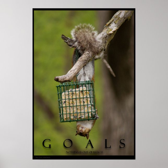 ZIALS Inspiration Funny Eichhörnchen Poster Print (Vorne)