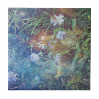 Zichorie-Gras-Fliese Fliese