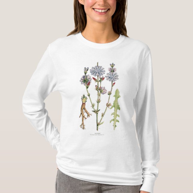 Zichorie-Vintages botanisches T-Shirt (Vorderseite)
