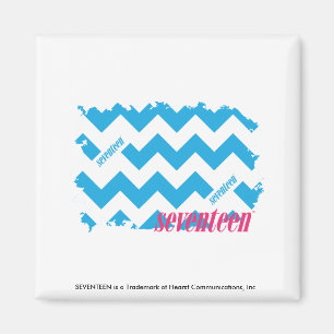 Zickzack-Aqua 3 Magnet