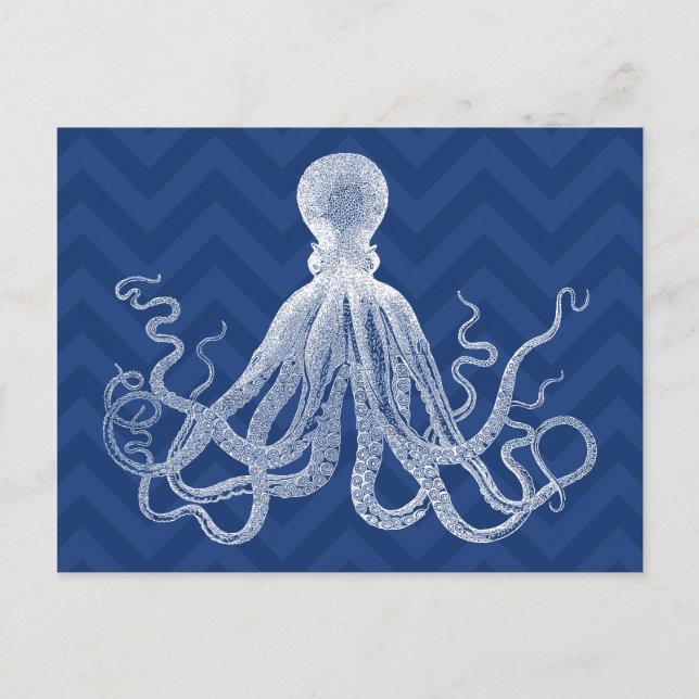 Zickzack Octopus DK Postkarte (Vorderseite)
