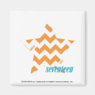 Zickzack-Orange 3 Magnet