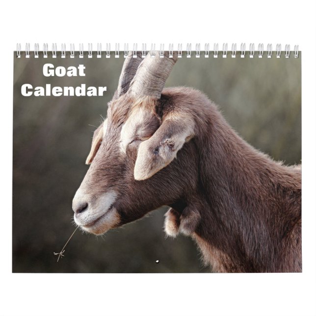 Ziege 2026 kalender (Titelbild)