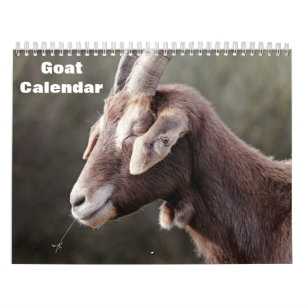 Ziege 2027 kalender