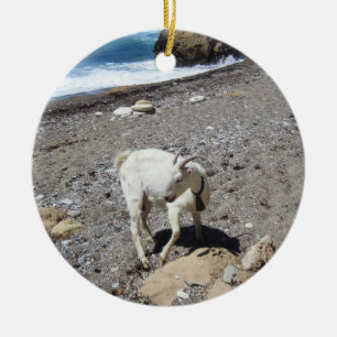 Ziege am Strand Keramik Ornament