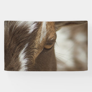 Ziege Banner