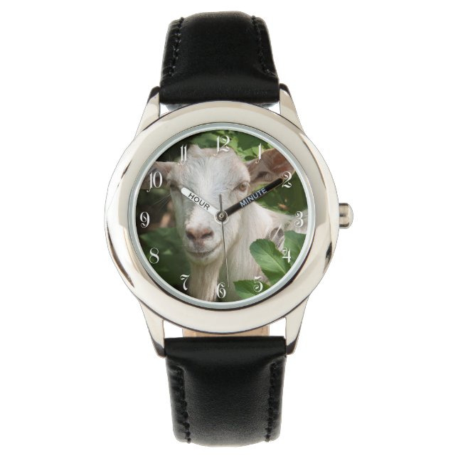 Ziege, die Kamera ansieht Armbanduhr (Vorderseite)