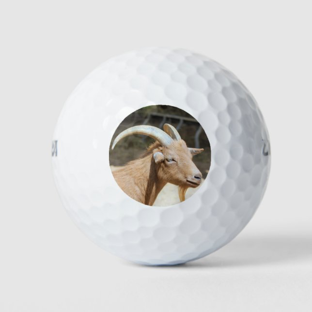Ziege Golfball (Vorderseite)
