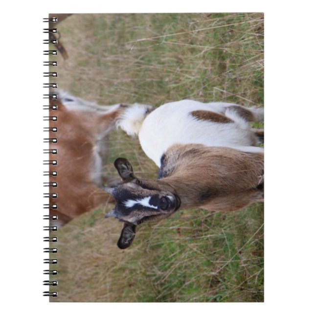 Ziege in einem Feld Notizblock (Vorderseite)