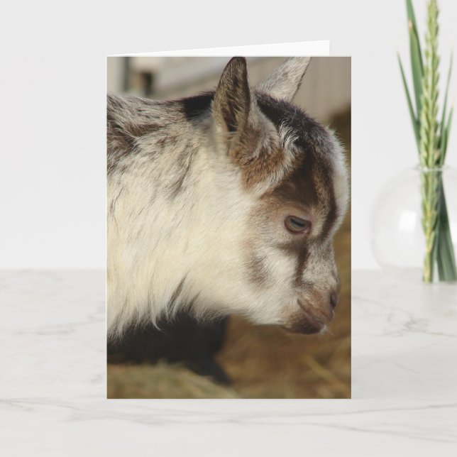 Ziege Karte (Vorderseite)