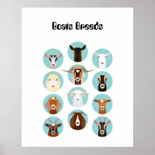 Ziege Kopf Poster