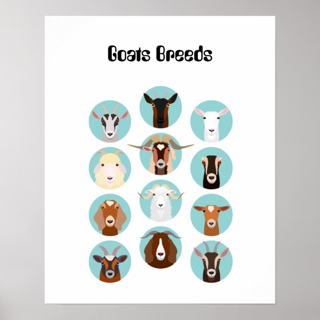 Ziege Kopf Poster (Vorne)