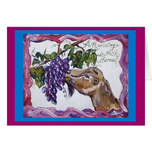 Ziege, Lamancha, Glaube ewig