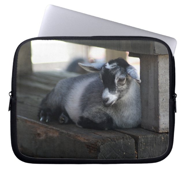 Ziege Laptopschutzhülle (Vorderseite)