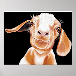 Ziege-Liebe Poster