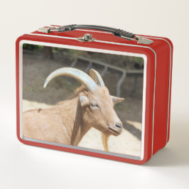 Ziege Metall Brotdose