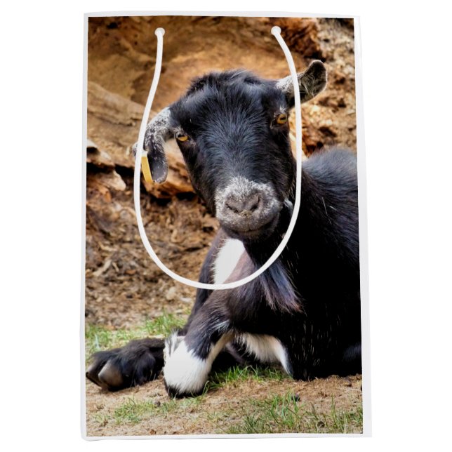 ZIEGE MITTLERE GESCHENKTÜTE (Vorderseite)