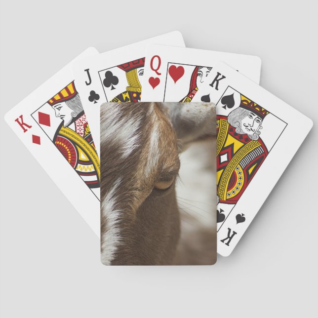Ziege Spielkarten (Rückseite)