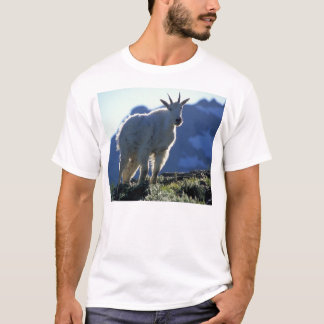 Ziege T-Shirt