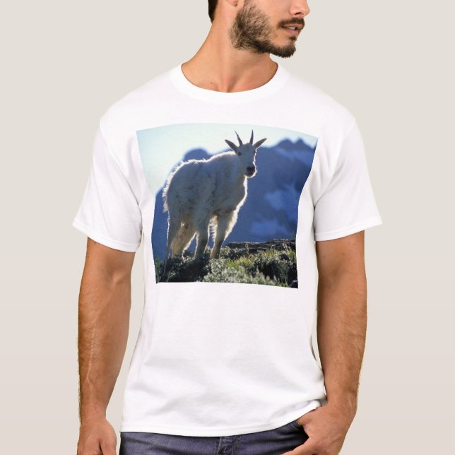 Ziege T-Shirt (Vorderseite)