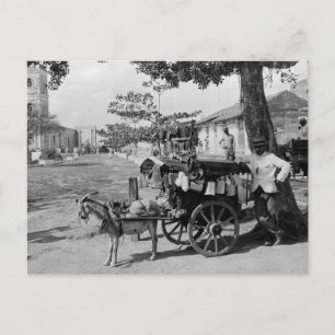 Ziege Wagon Peddler, Kuba: 1920 Postkarte
