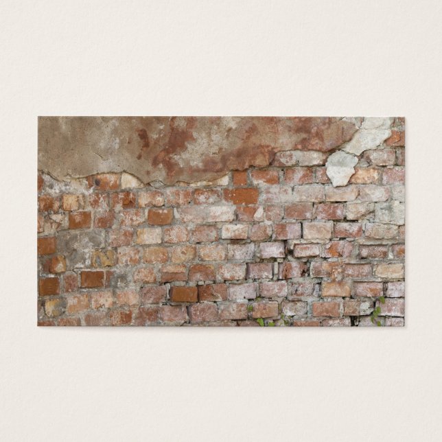 Ziegelmauer (Vorderseite)