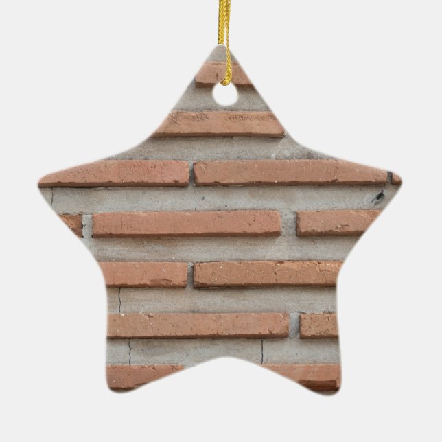 Ziegelmauer Keramikornament (Hinten)