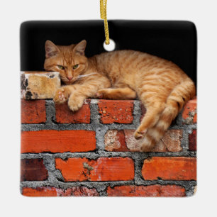 Ziegelmauer Keramikornament