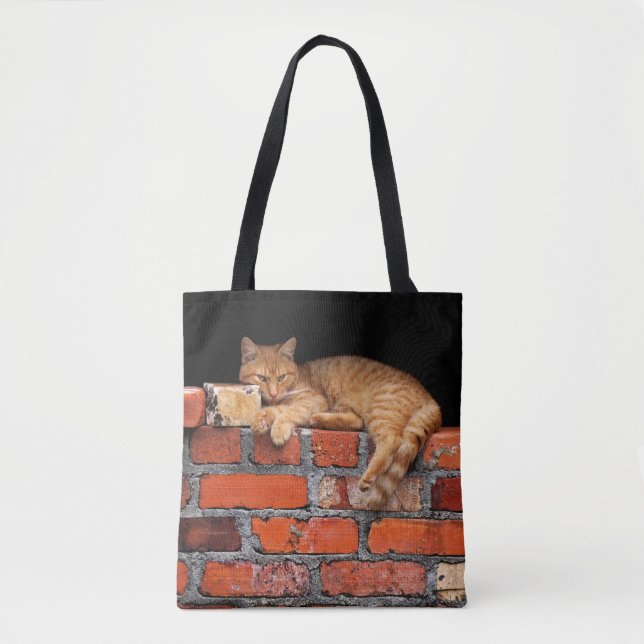 Ziegelmauer Tasche (Vorderseite)
