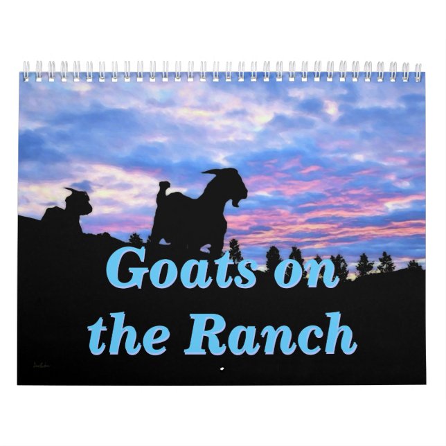 Ziegen auf der Ranch Kalender (Titelbild)