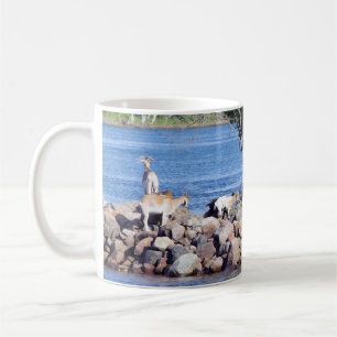 Ziegen auf Felsen Kaffeetasse