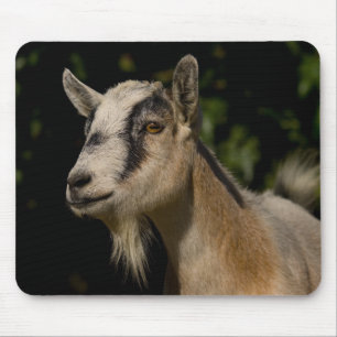 Ziegen-aufpassende Mausunterlage Mousepad