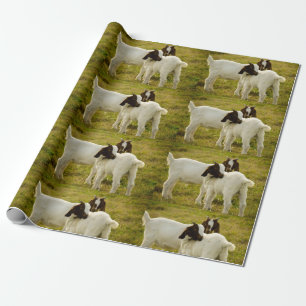 Ziegen Bogen Niedlich-braunes Foto Geschenkpapier