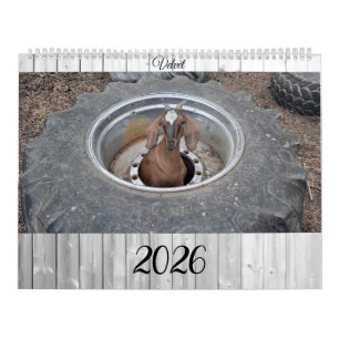 Ziegen des Kalenders 2026 Kalender